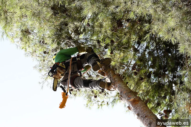 ZAK MARKETING CREATIVO