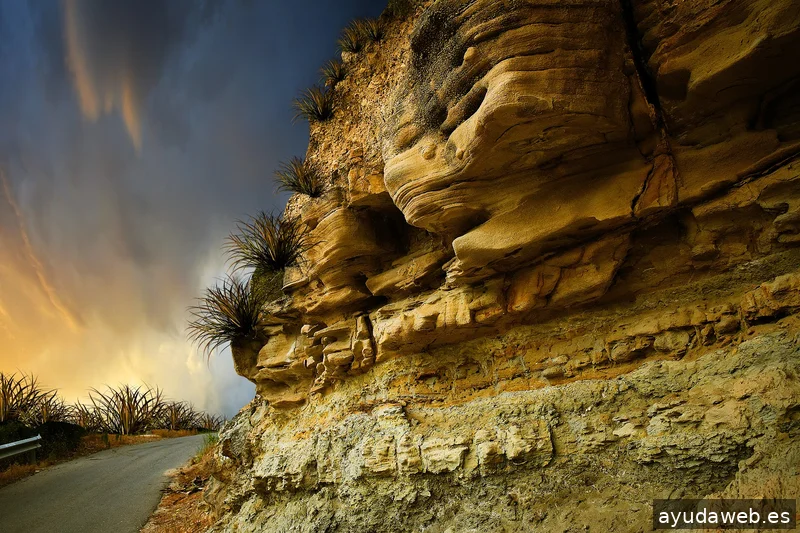 ZAK MARKETING CREATIVO