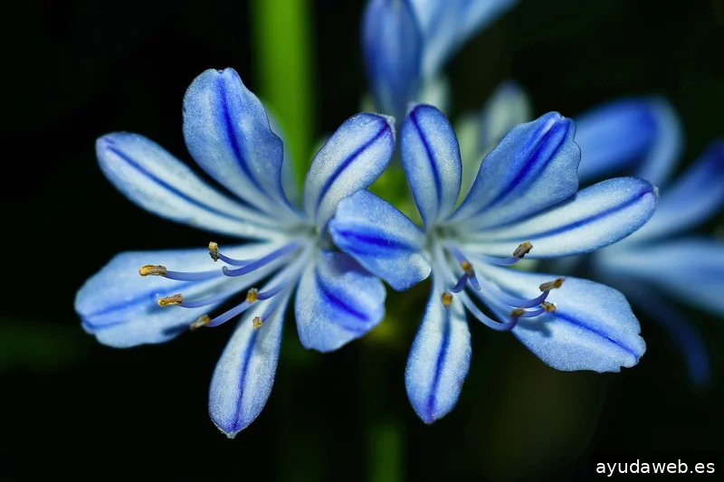 ZAK MARKETING CREATIVO