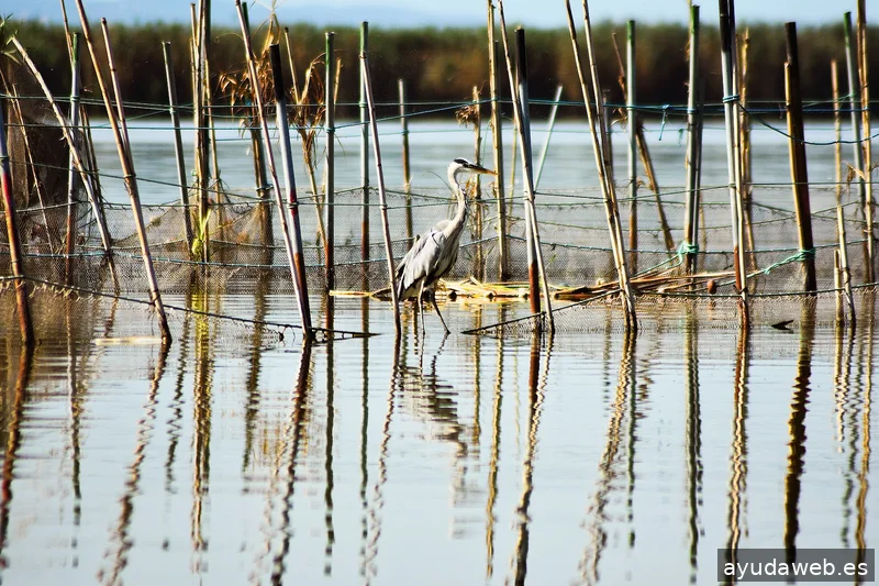 ZAK MARKETING CREATIVO