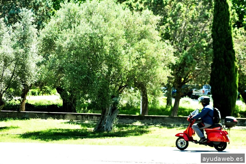 ZAK MARKETING CREATIVO