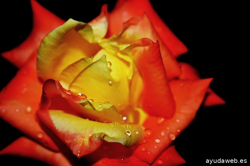 ZAK MARKETING CREATIVO