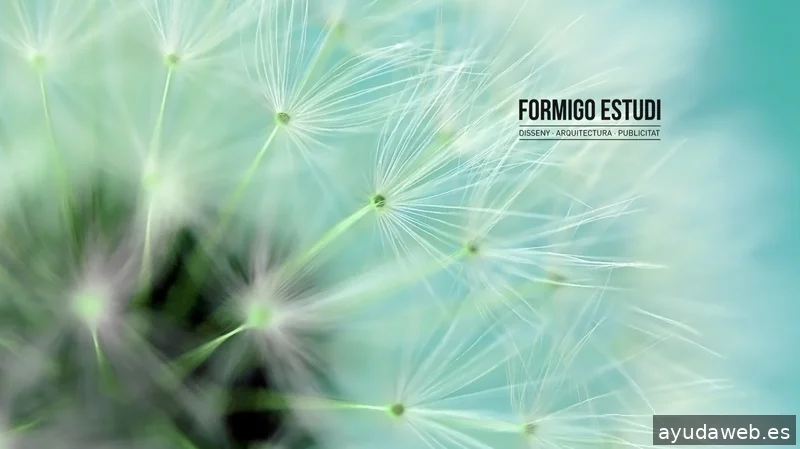 FORMIGO ESTUDI