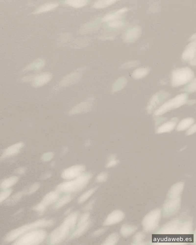 Xènia Casado Studio | Diseñadora gráfica