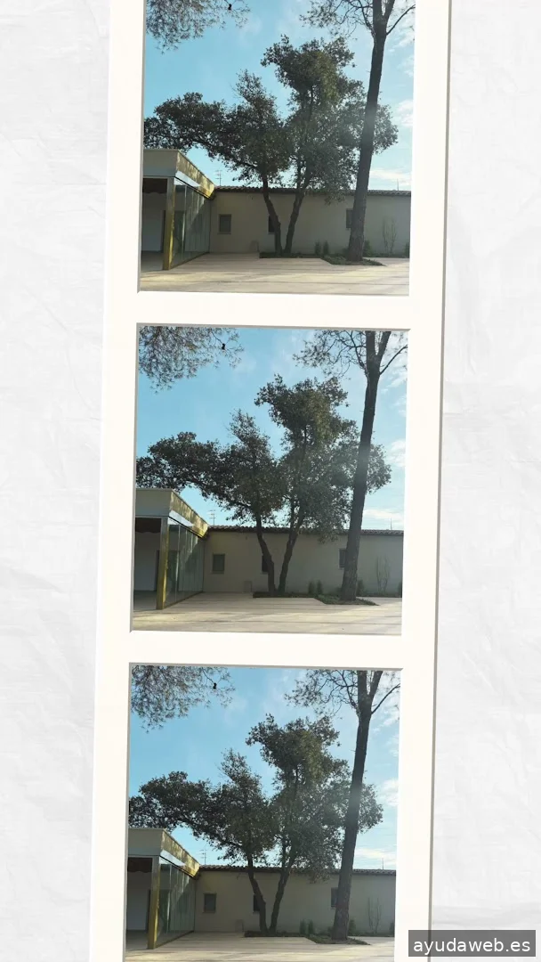 Xènia Casado Studio | Diseñadora gráfica