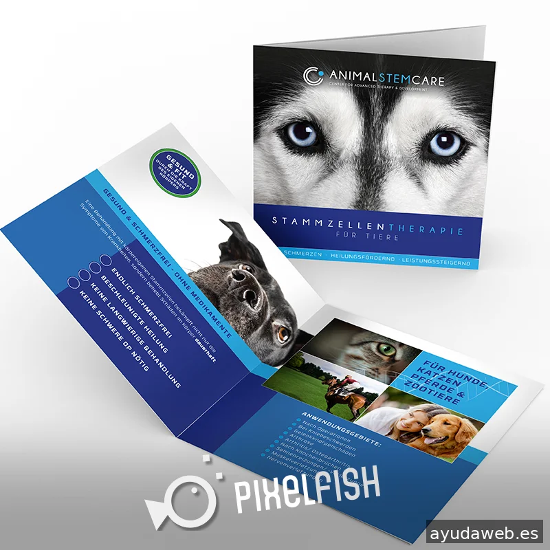 Werbeagentur Pixelfish