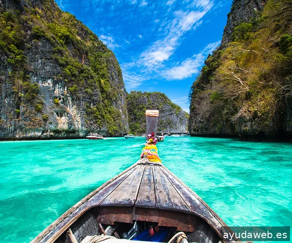 WebElx | Diseño web Elche. Agencia SEO de posicionamiento web y marketing digital