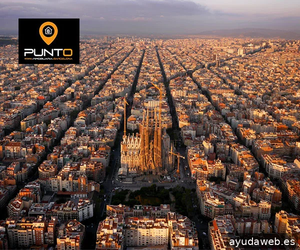 WebElx | Diseño web Elche. Agencia SEO de posicionamiento web y marketing digital