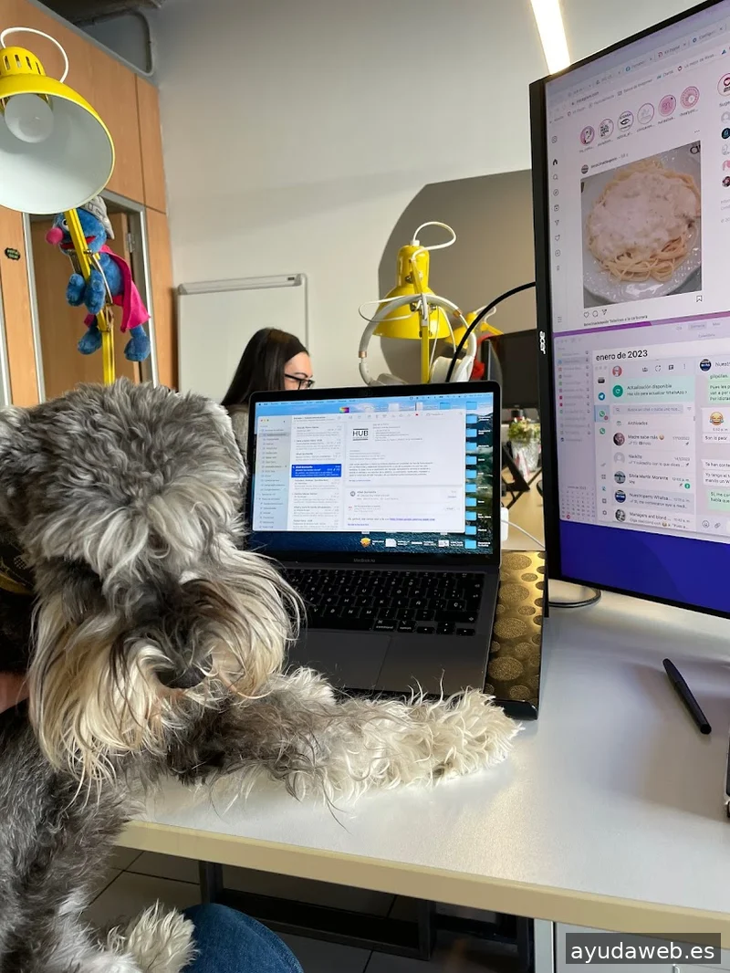 Hub de Comunicación - Agencia de Marketing Digital