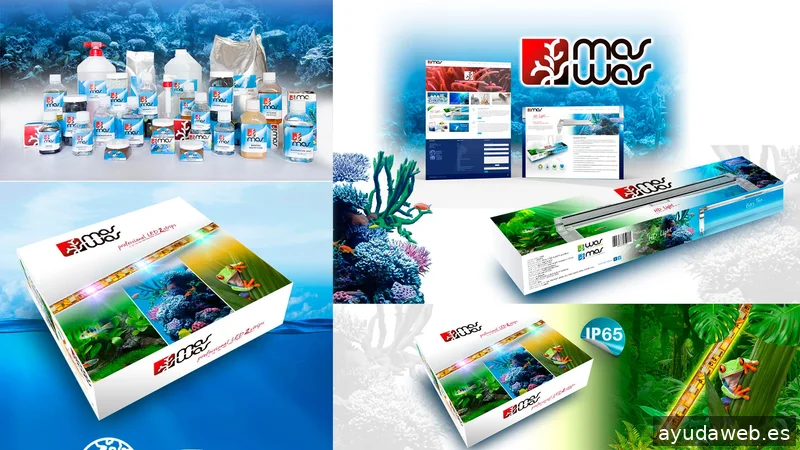 Update diseñador freelance