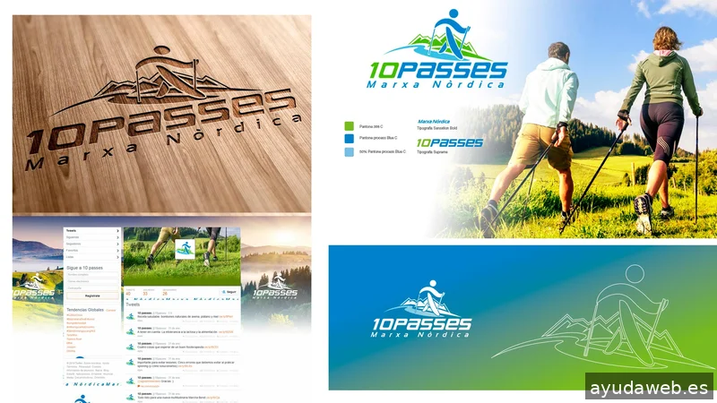 Update diseñador freelance