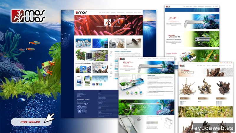 Update diseñador freelance