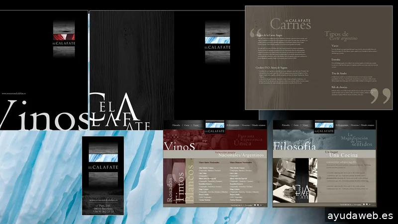 Update diseñador freelance