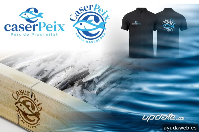 Update diseñador freelance