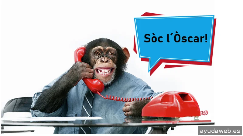 Disseny Web Lleida - by Òscar Carrasquer