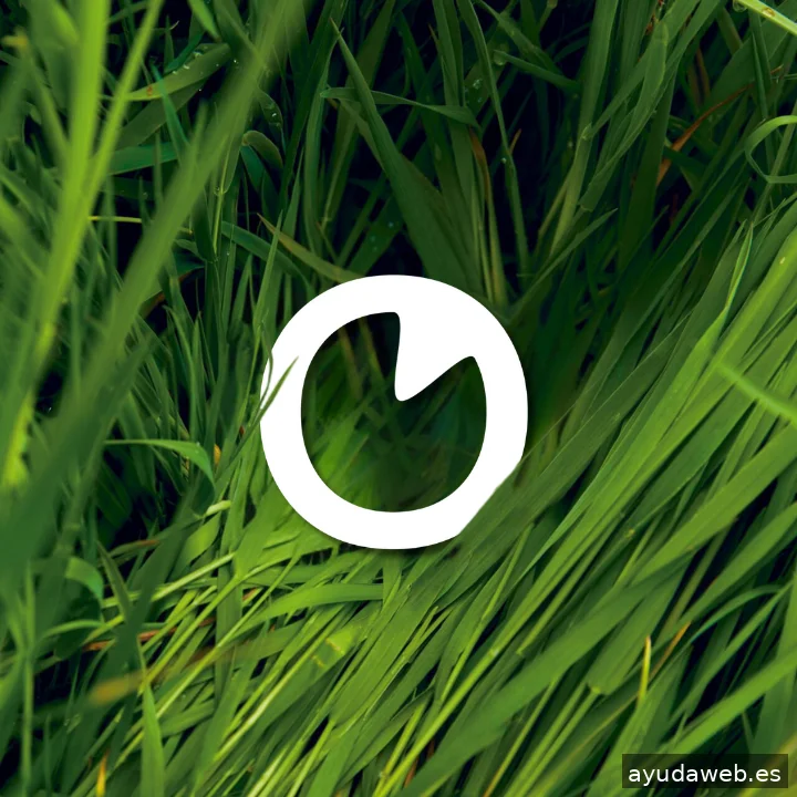 KLOROFiLA | Agencia de Marketing