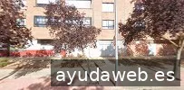 Consultoría SEO Nines Araúzo