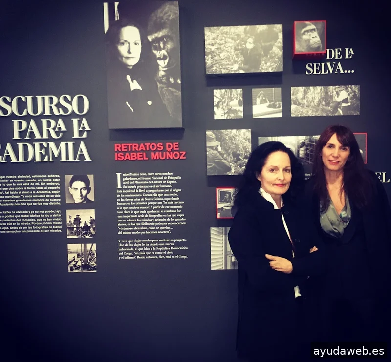 Diseño gráfico y web. Susana Cid