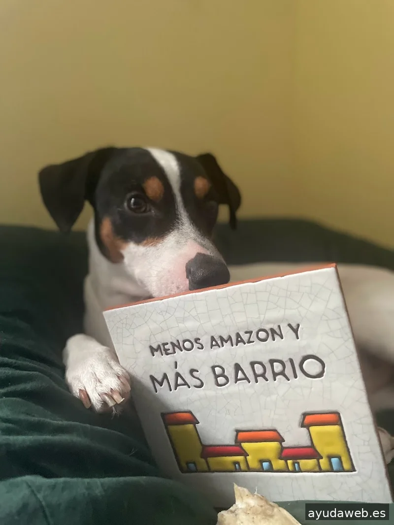 La Vecina Agencia de Publicidad