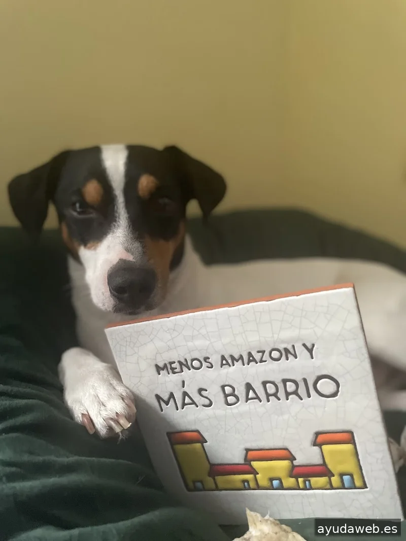 La Vecina Agencia de Publicidad