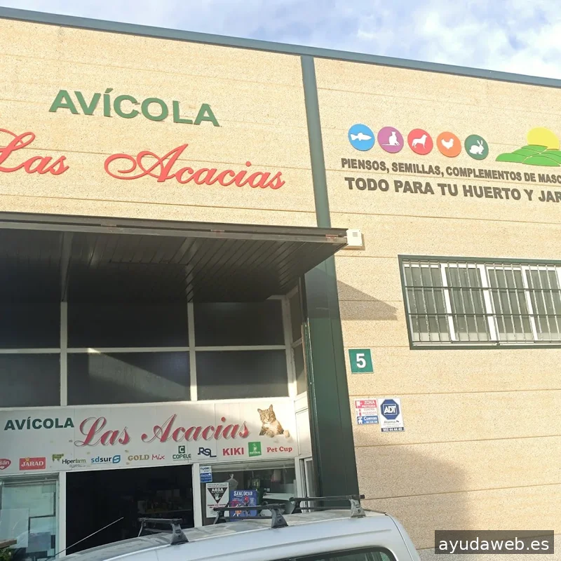 Bahia Graphics