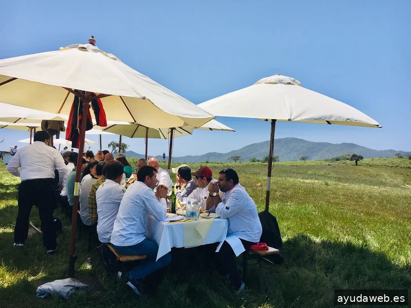 Gastronomic Projects