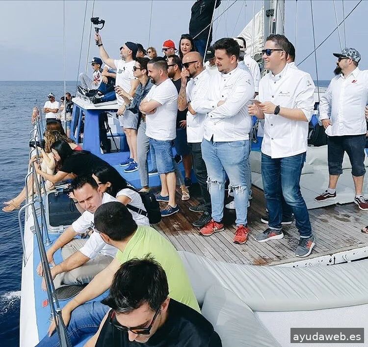 Gastronomic Projects