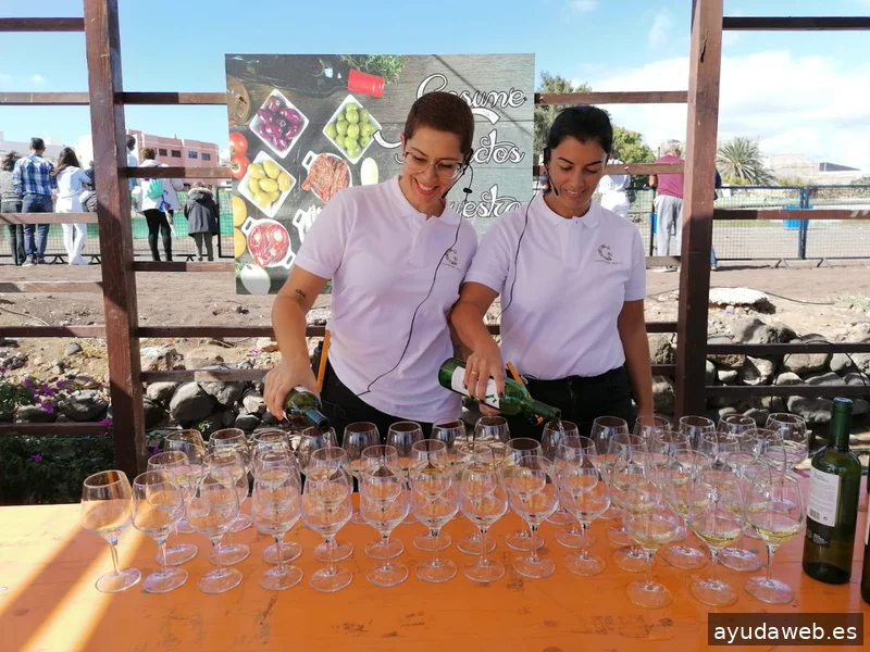 Gastronomic Projects