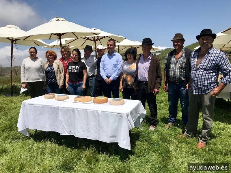 Gastronomic Projects