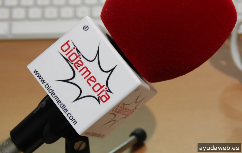 Bidemedia multimedia