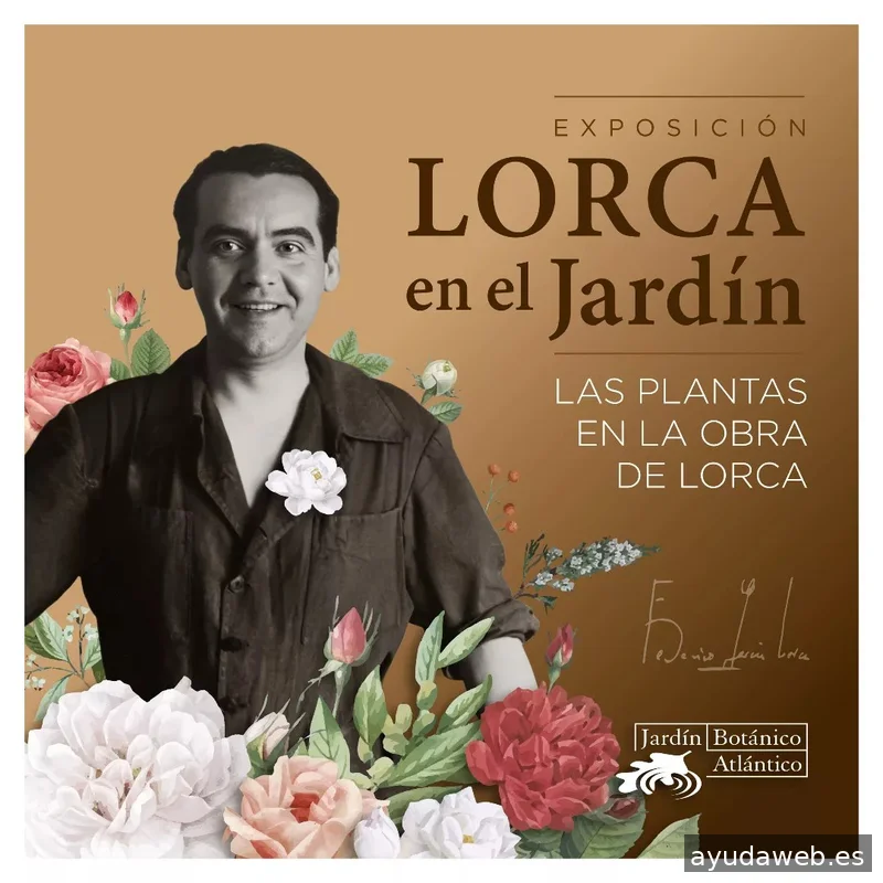 Grafica.mente Diseño Gráfico