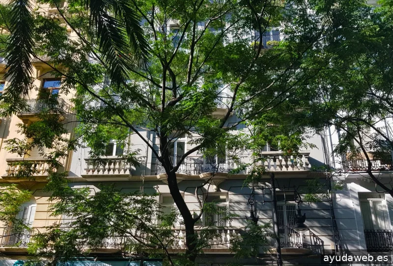 M4B, Soluciones y Consultoría