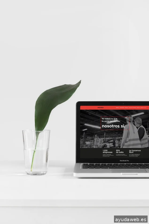 Lasevaweb Global Web Services S.L.