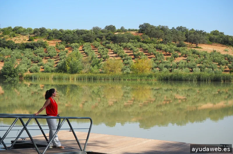 Adeitur Consultoría Turística y de Empresa