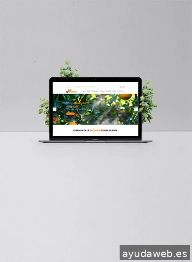 Webentropy
