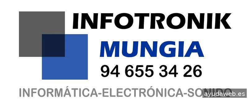 Infotronik Mungia
