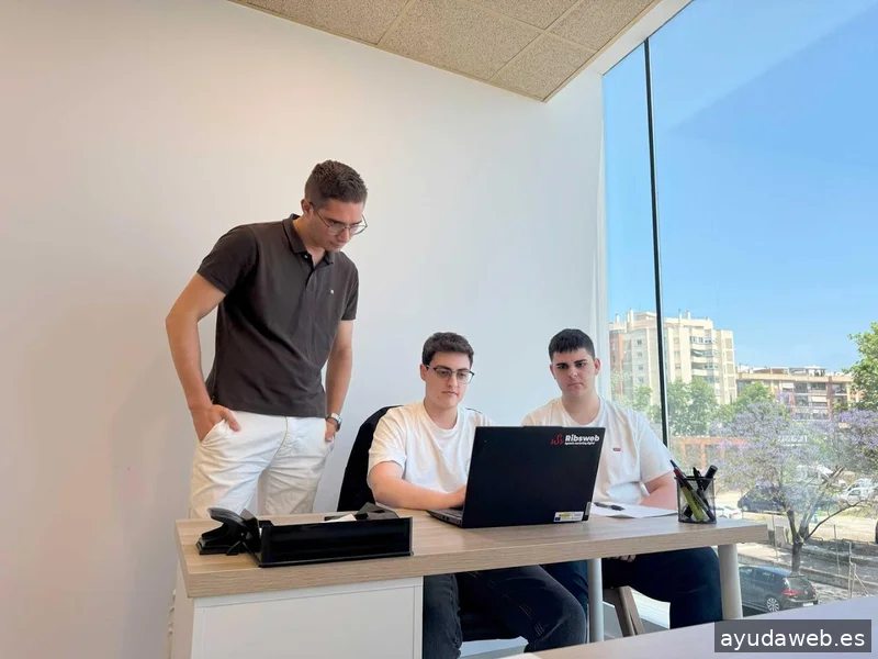 Ribsweb - Diseño web para agencias y pymes