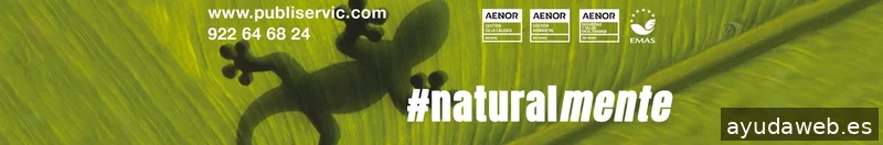 Publiservic Canarias