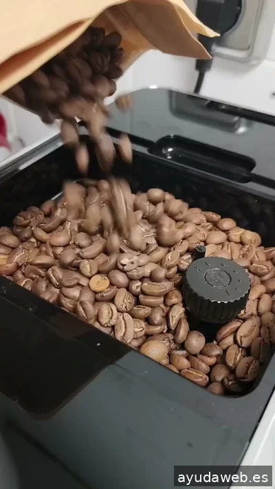 Raster Digital - Rotulación e Impresión de Vinilos y Lonas de gran Formato