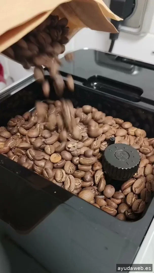 Raster Digital - Rotulación e Impresión de Vinilos y Lonas de gran Formato