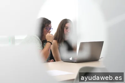 LÍNEA GRÁFICA - Shopify Plus Partner | Prestashop Partner