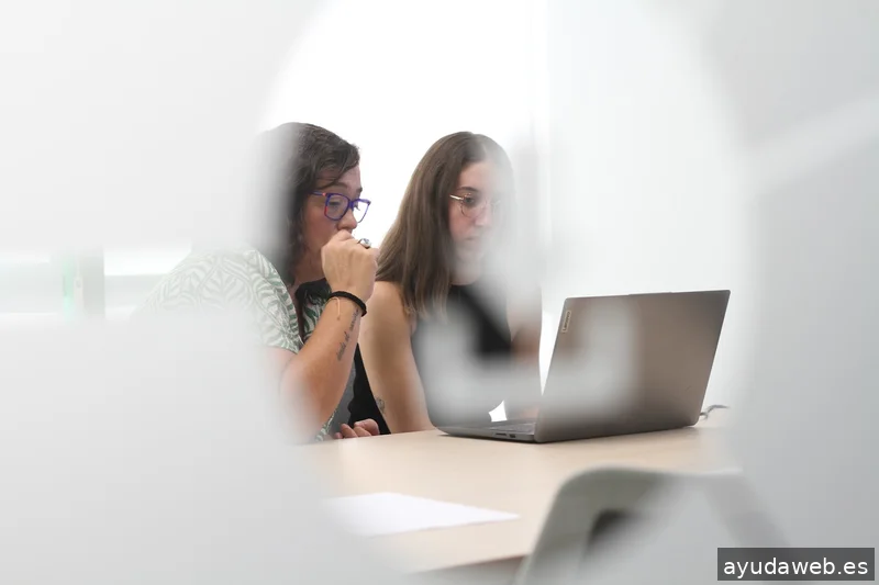 LÍNEA GRÁFICA - Shopify Plus Partner | Prestashop Partner