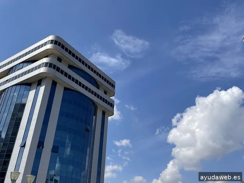 LÍNEA GRÁFICA - Shopify Plus Partner | Prestashop Partner