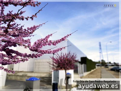 Nuevecomaocho, Marketing y Consultoría