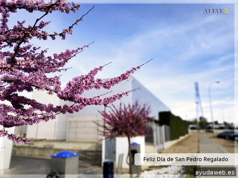 Nuevecomaocho, Marketing y Consultoría
