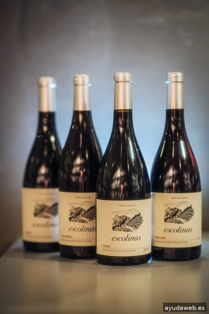 El Auténtico Studio