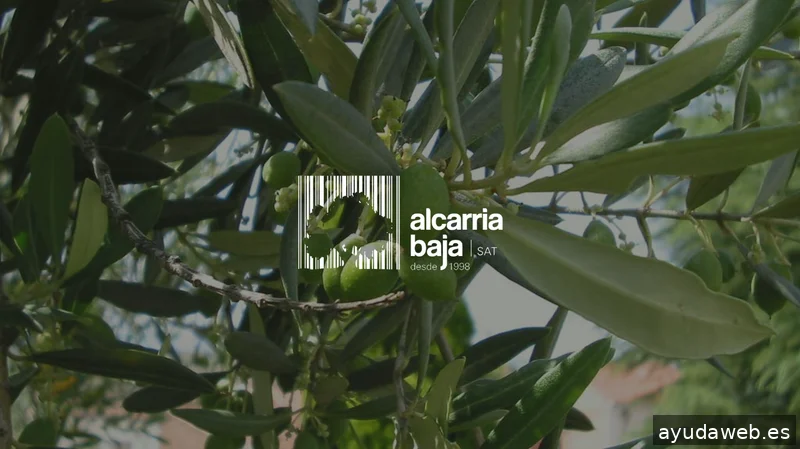 Perseo Digital Agencia SEO Pontevedra