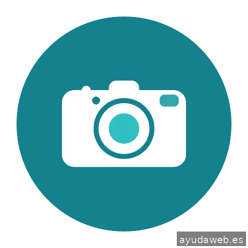 Idital - Agencia SEO Valencia