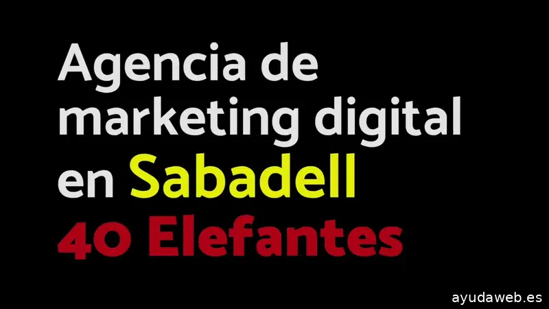 40 Elefantes - SEO y SEO local