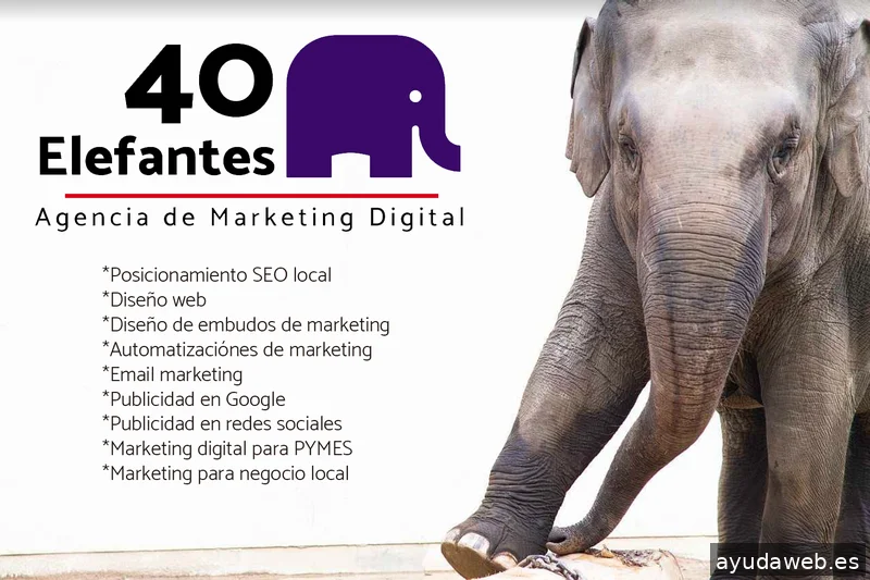 40 Elefantes - SEO y SEO local